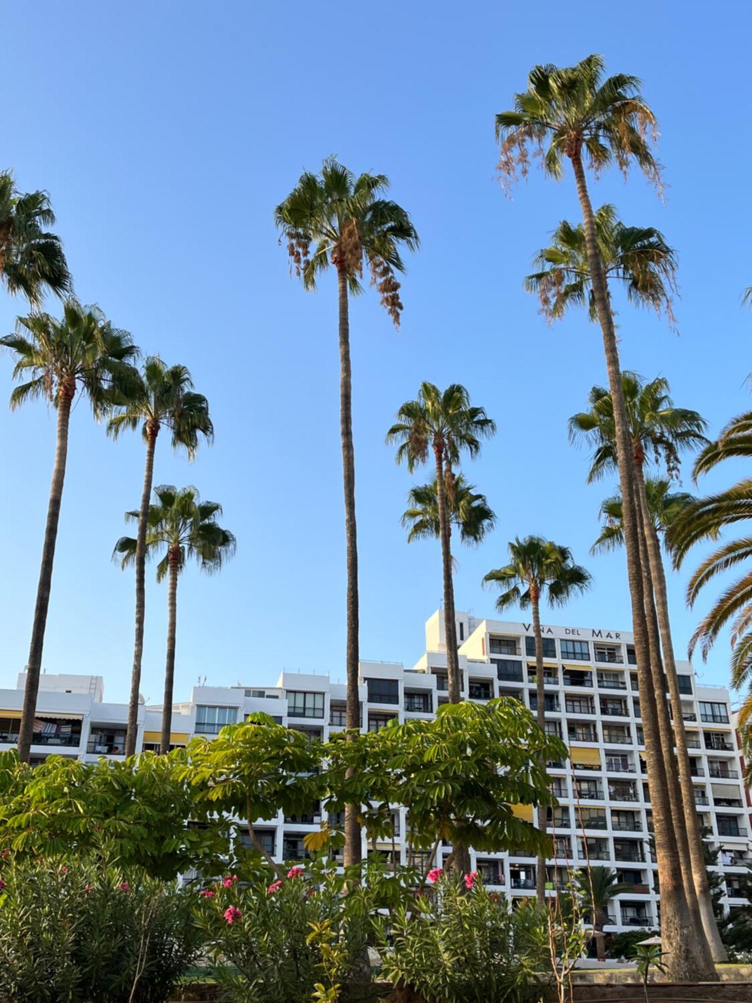 Vina Del Mar Apartment Playa Feñabe Bagian luar foto